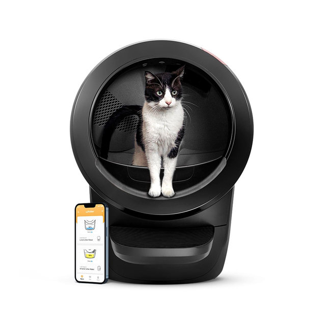 New Litter box for Leo and Evie