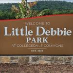 Little Debbie Park