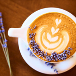 Black Oak Coffee Roasters