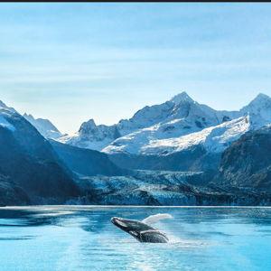 Honeymoon Fund (Alaska Cruise)