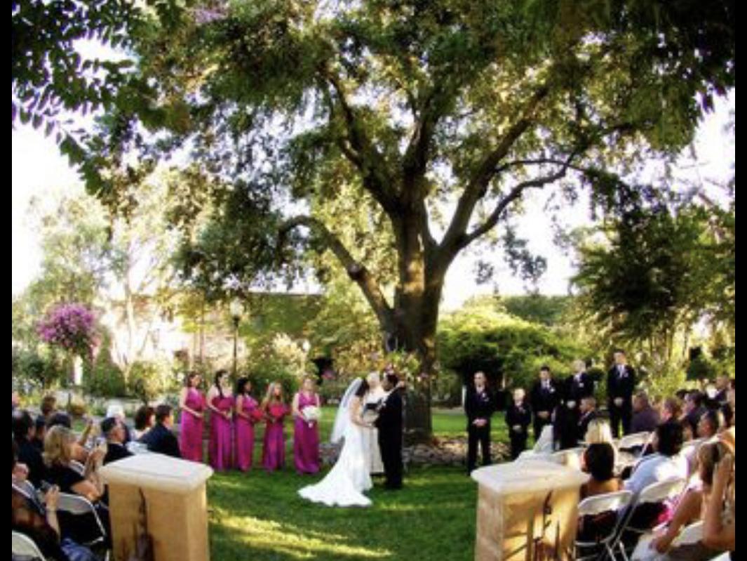 The Wedding Website of Lisa Johnson and Richard Machado Jr.