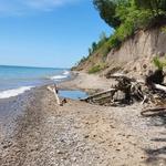 Lion's Den Gorge Nature Preserve