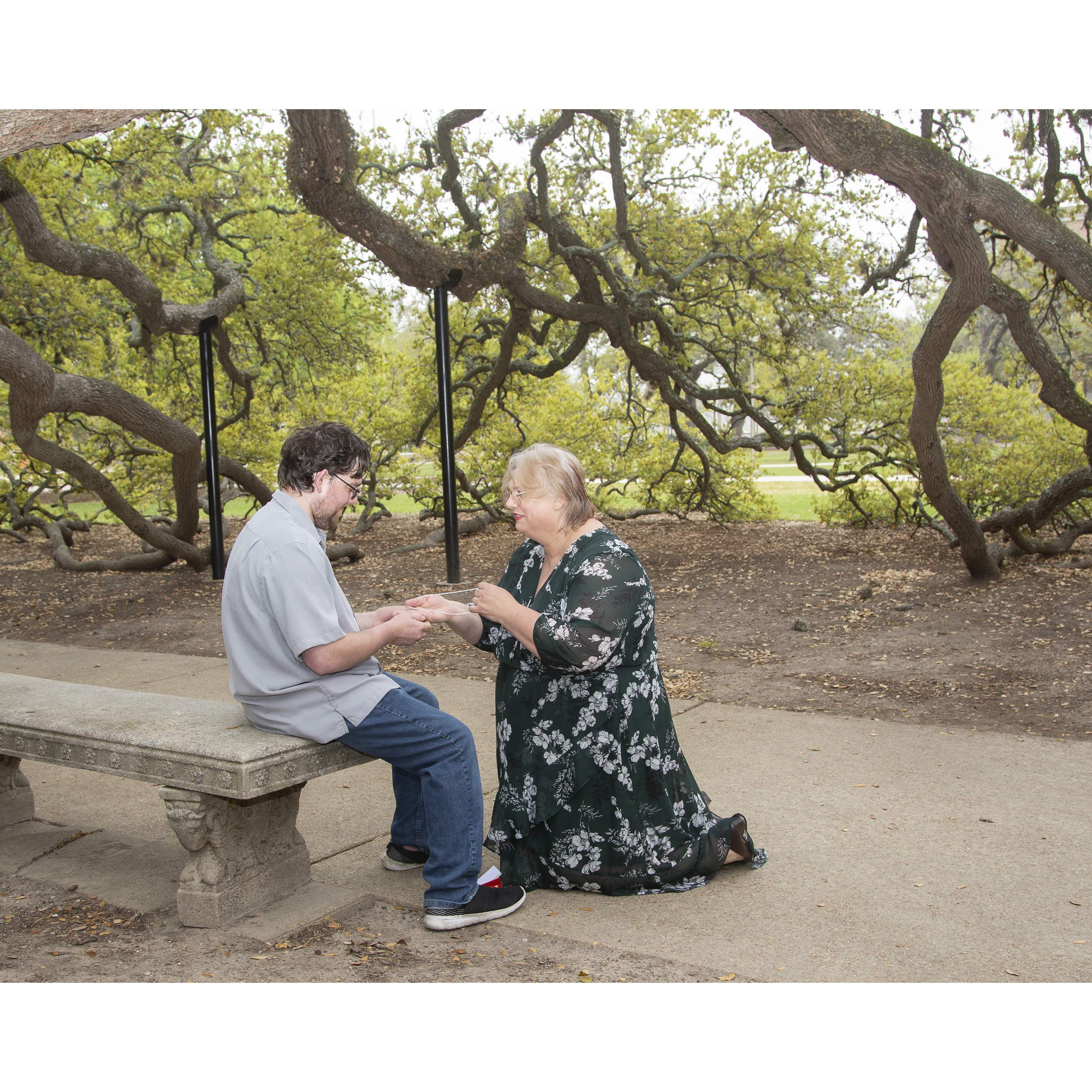 At the Century Tree, Katy proposes to David