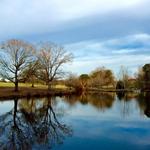 Lenora Park