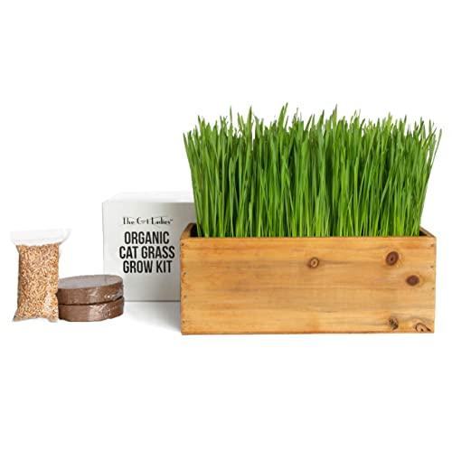 Cat Grass Kit (Organic) Complete with Rustic Wood Planter, Seed and Soil. Easy to Grow - Great for Indoor or Outdoor Cat, Dogs and Other Pets. Prevent Hairballs and Aid Digestion…