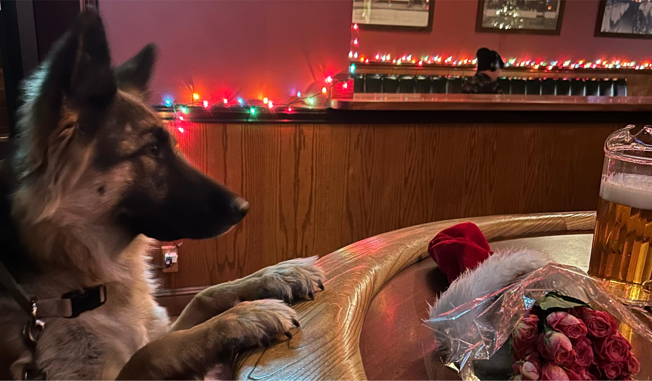 The Wedding Website of Emily Hilldore and Shaun Mason