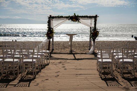 The Wedding Website of David Bishop and Daphne Erickson