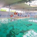 Mote Marine Laboratory & Aquarium