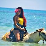 Horseback Riding Tours