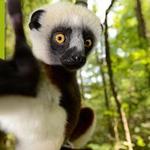 Duke Lemur Center