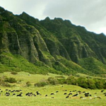 Kualoa Ranch