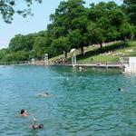 Cool off at Barton Springs Pool