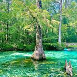 De Leon Springs State Park