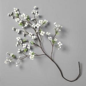White Dogwood Stem (46") - Hearth & Hand™ with Magnolia