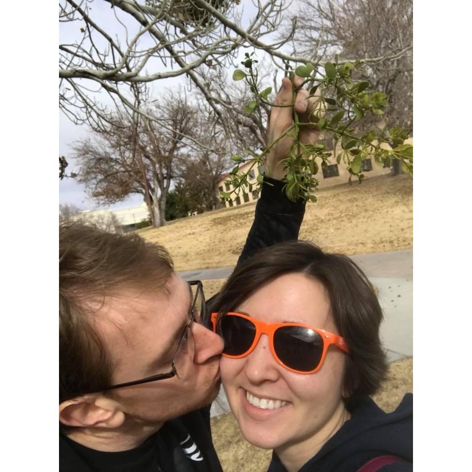 Mistletoe in New Mexico