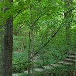 Hartman Reserve Nature Center