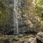 Manoa Falls
