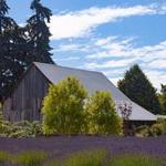 Sequim