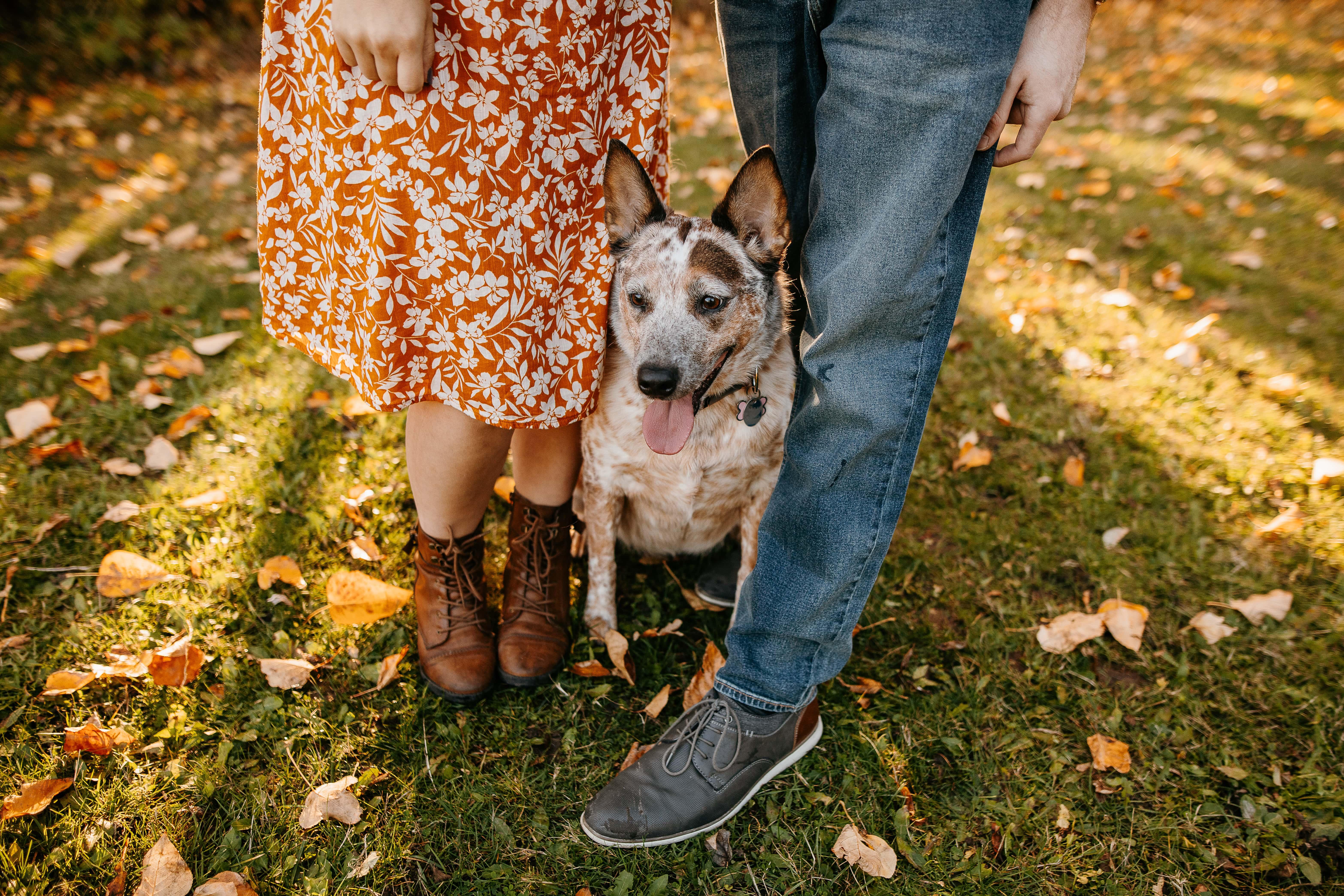The Wedding Website of Braden Farlow and Shelby Asakura