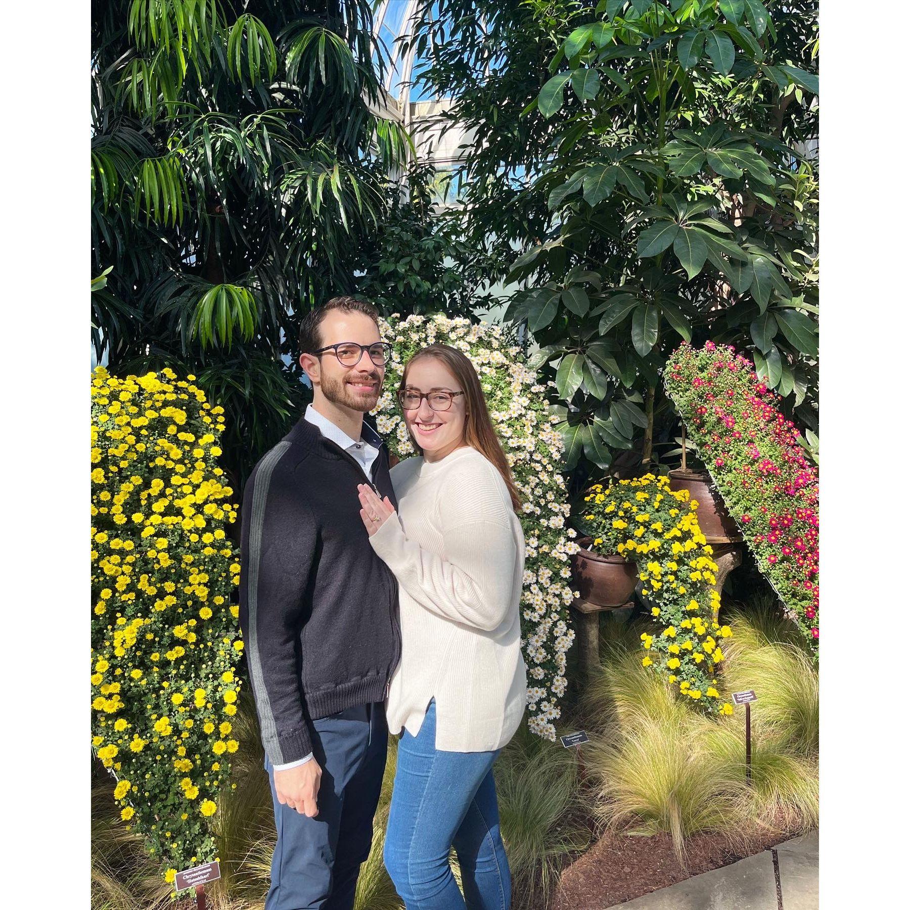 Engagement photo shoot