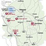 Various wineries and wine/olive oil tastings in the area