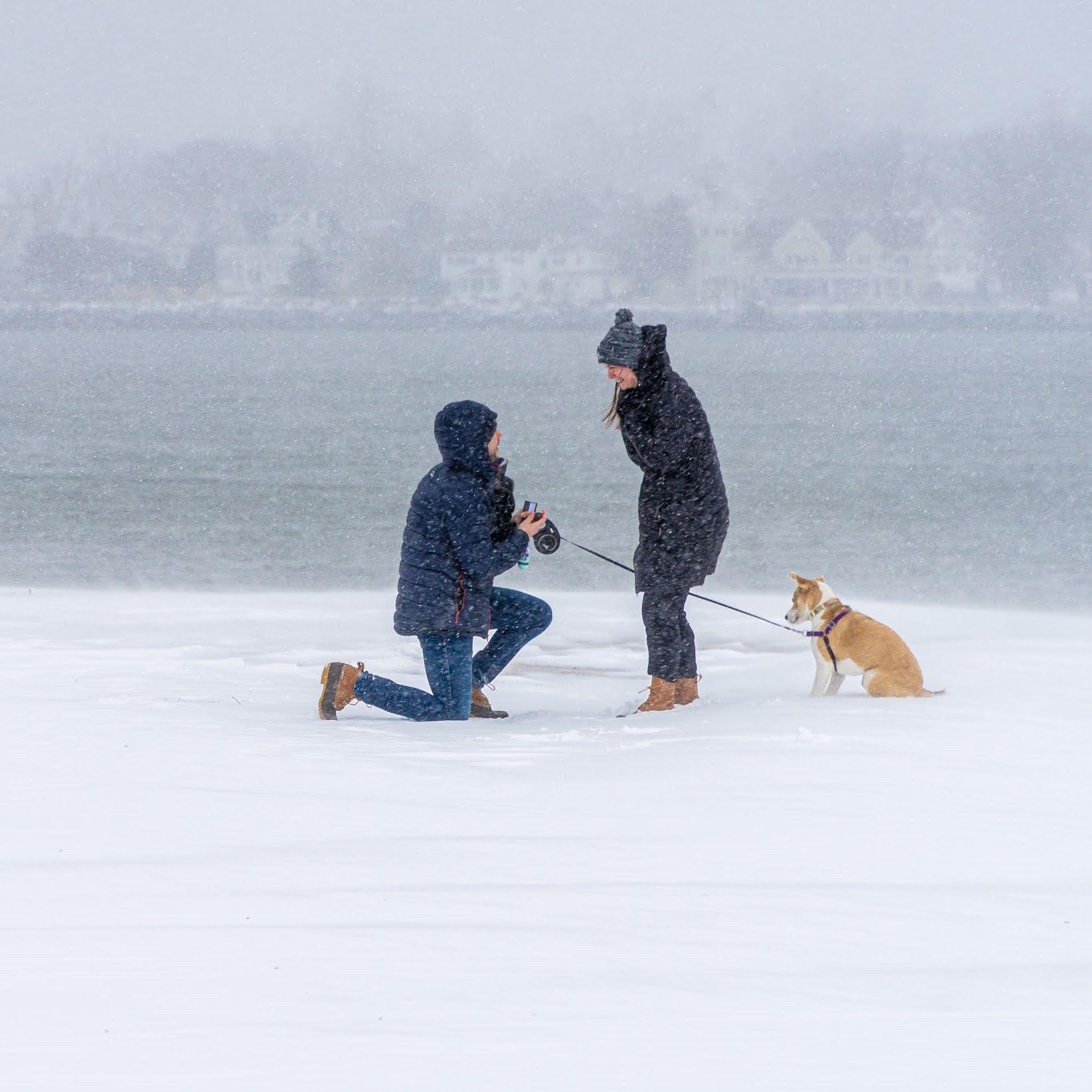January 29, 2022 // THE PROPOSAL