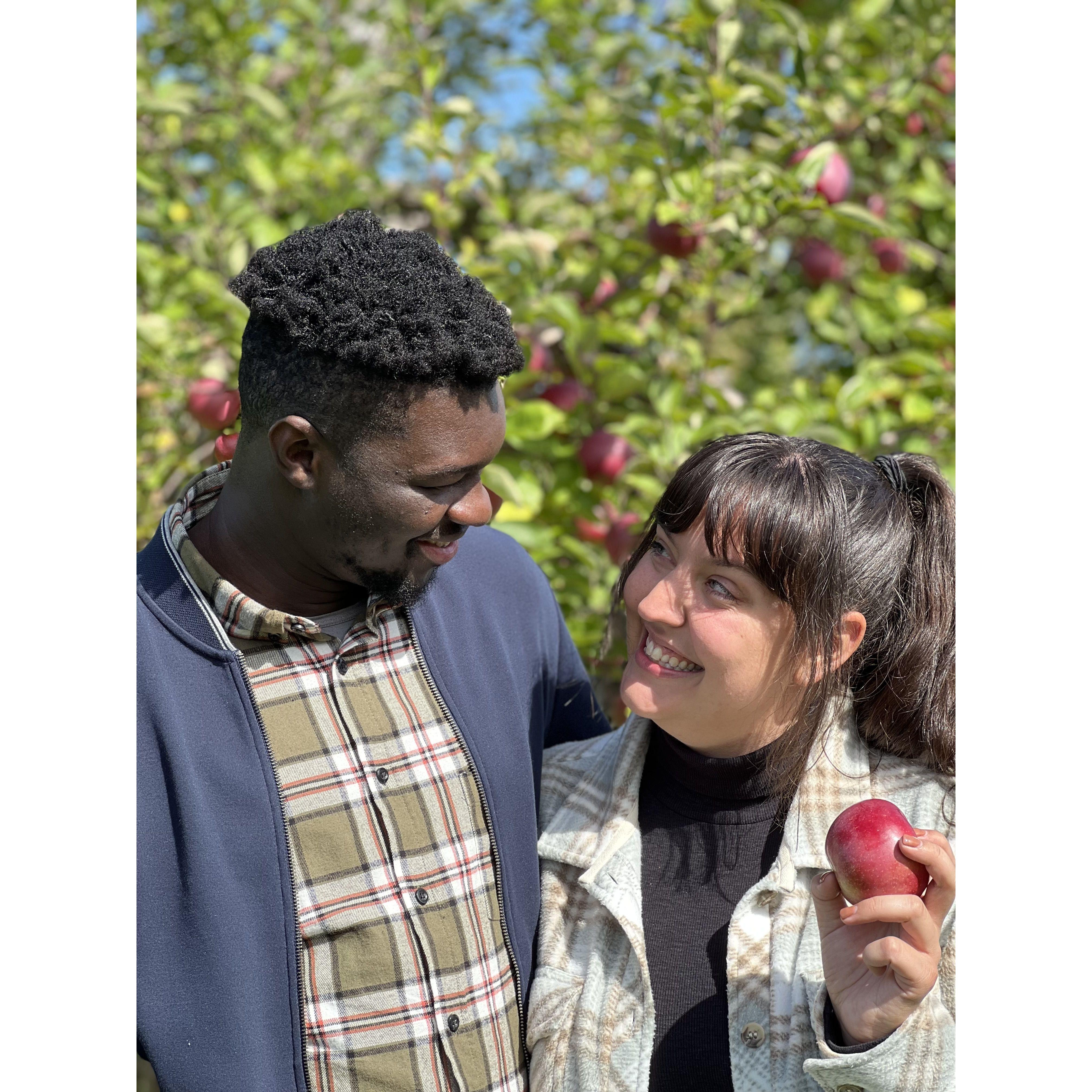"The apple of my eye." - E
