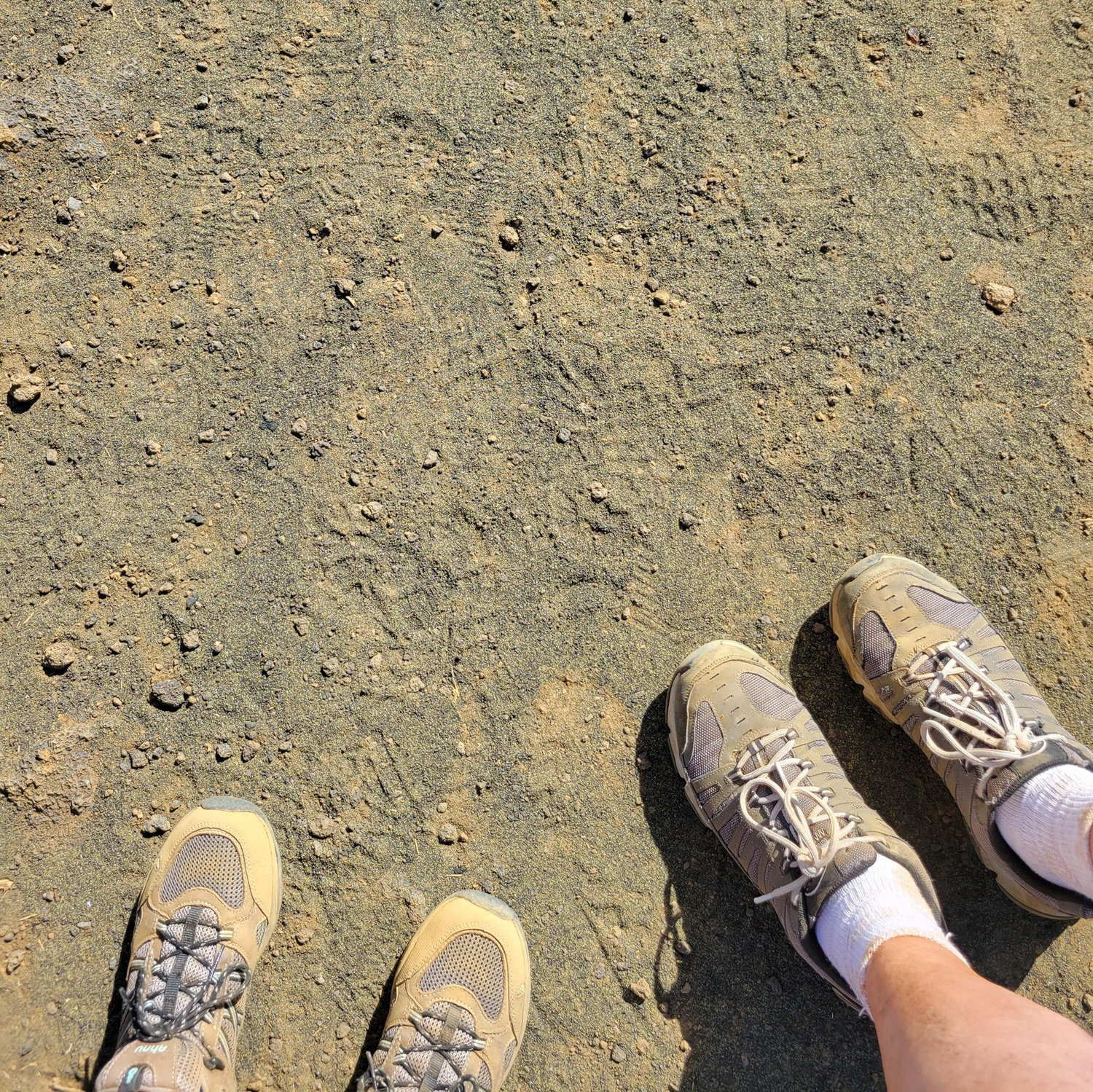 While in Hawaii, we got our feet dirty on the green sand beach!