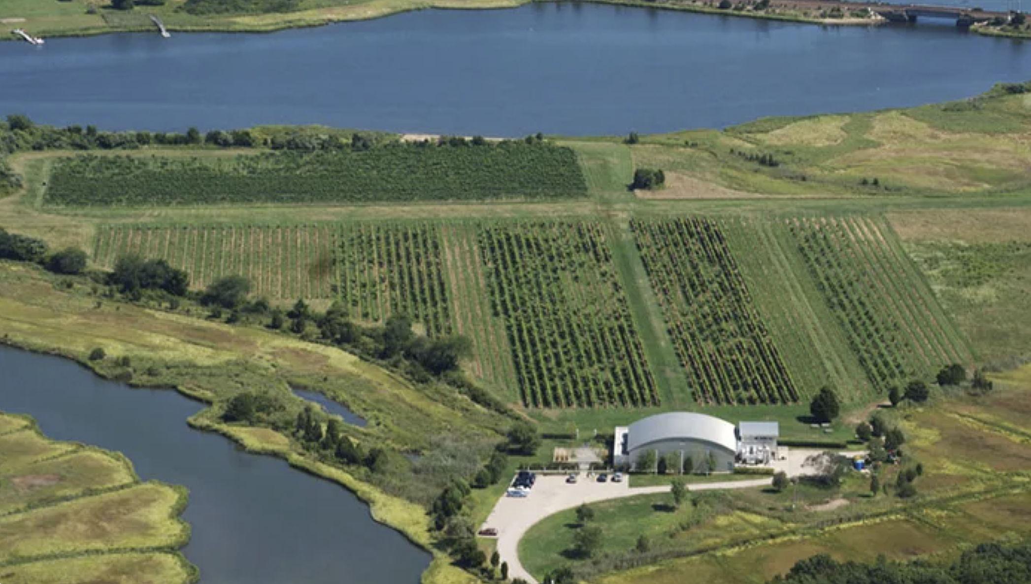 The Wedding Website of Māra Koerner and Chris Silhavy