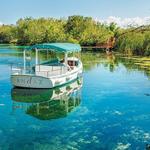 Boat Tours