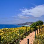 Dana Point Headlands Conservation Area