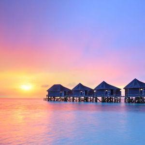 Honeymoon Fund