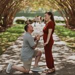 The Dallas Arboretum and Botanical Garden