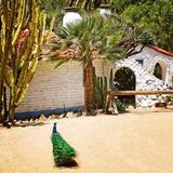 Leo Carrillo Historic Park