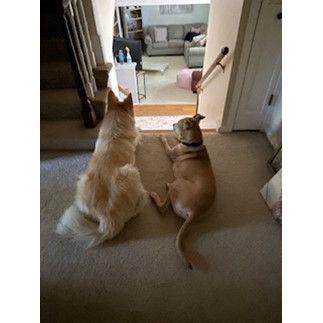 Our boys