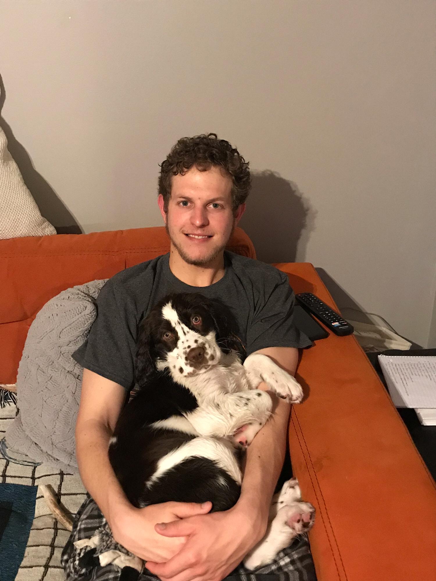 Mason and Briley our English Springer Spaniel