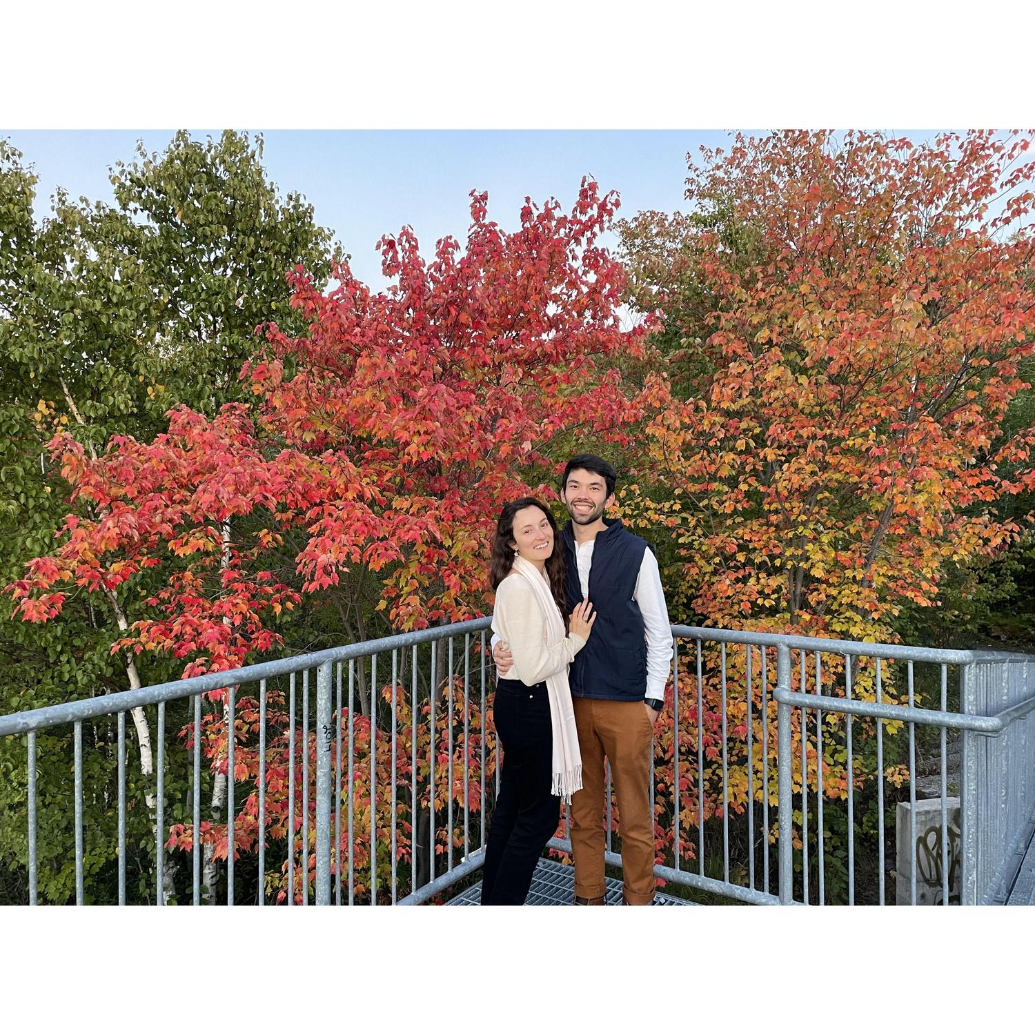 The day Rebecca realized her two week trip to Canada was going to turn into a four month Hallmark movie dream, a Christmas ornament kiosk, a Boba Shop, and her Canadian Prince.