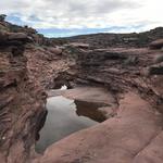 Matrimony Springs