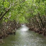 Everglades National Park