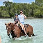 Palomino Ranch & Tours LLC