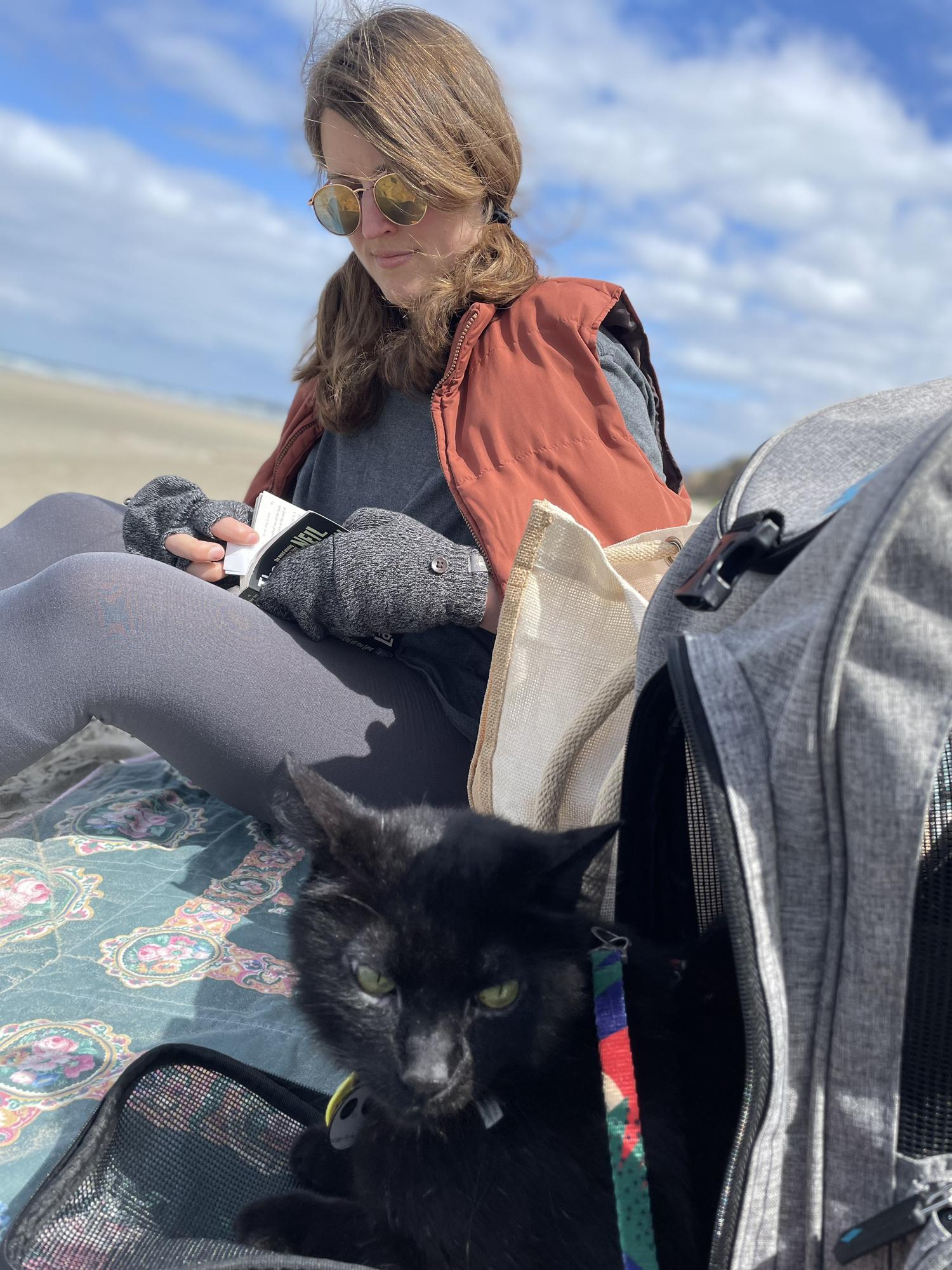 not so happy kitty