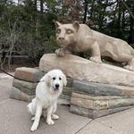 The Nittany Lion Shrine
