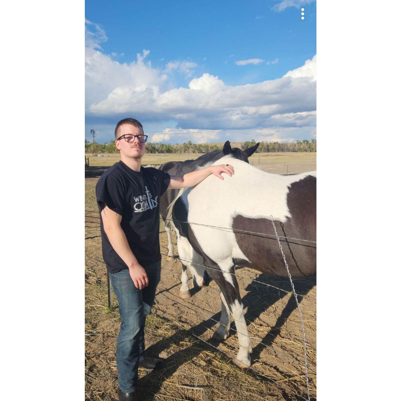 Day Trip To See Horses!