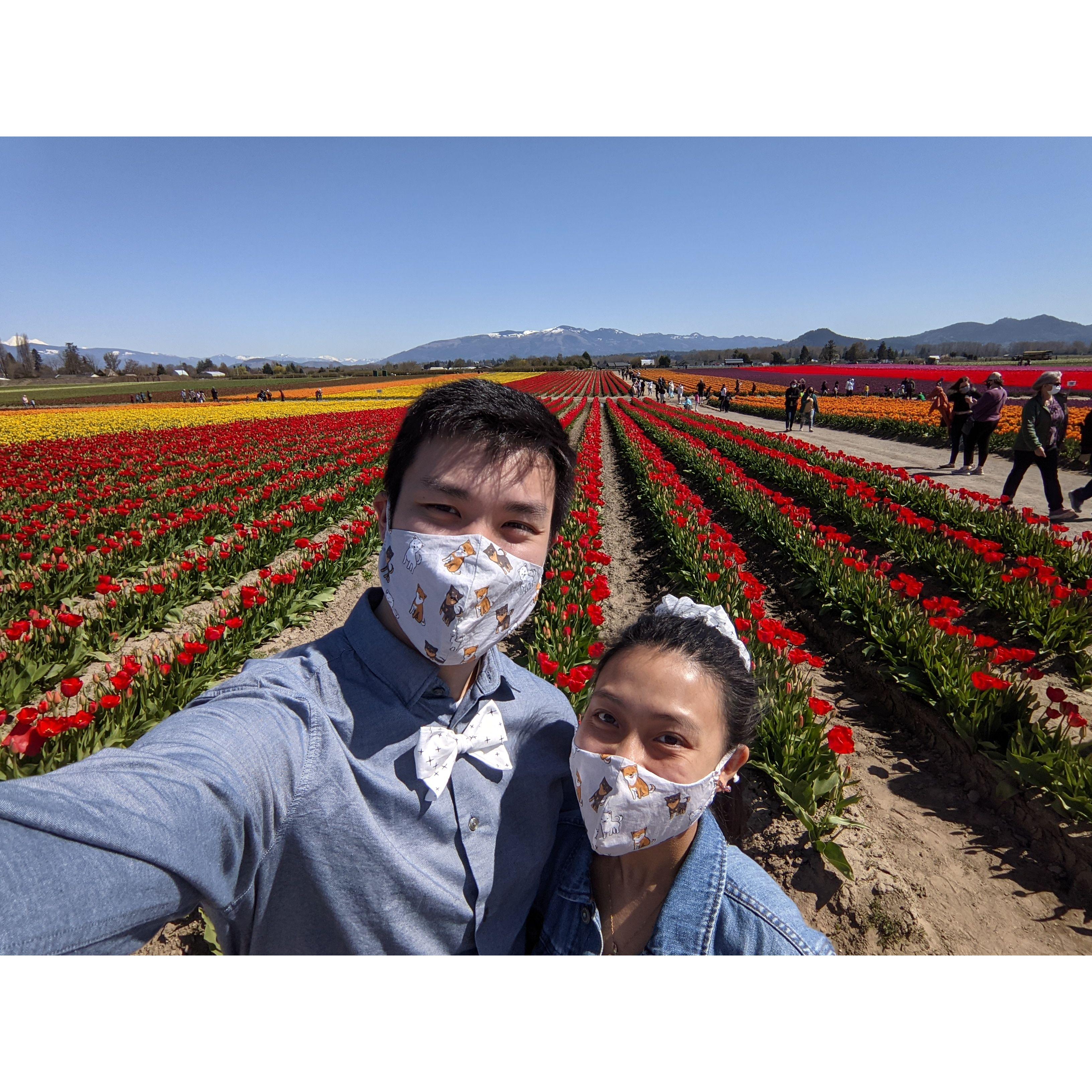 Experiencing the tulip festival for the first time