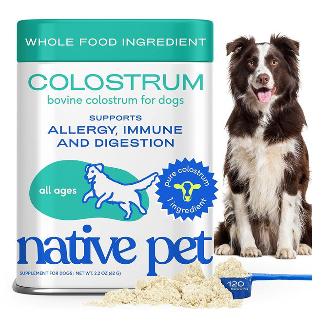 Native Pet Colostrum for Dogs - Bovine Colostrum Powder - Dog Allergy Relief, Itchy Skin Relief, Immune Support & Gut Health - 100% Single-Ingredient Supplement with Bioactive Nutrients - 120 Scoops