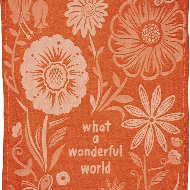 Primitives by Kathy 101506 LOL Made You Smile Dish Towel, 20 x 28-Inches, What a Wonderful World