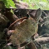 National Aquarium
