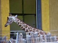 Zoo Boise