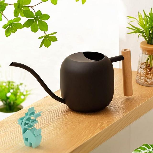 Baffect Watering Can Indoor Plants, 1.2L/41OZ Cute Watering Can Pot, Metal Stainless Steel Garden Watering Can with Long Spout for Indoor House Plants Bonsai Outdoor Garden Flower Decorative
