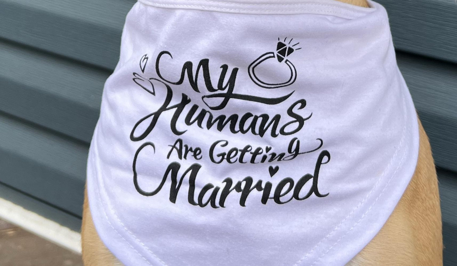 The Wedding Website of Amanda Czech and Nicholas Feher